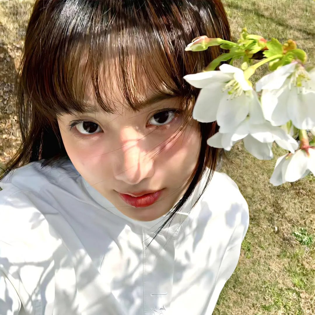 红粉女海盗